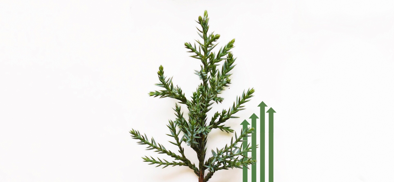 4 Little-Known Tactics to Conquer Evergreen Niches And Make Money Online as An Affiliate hero image