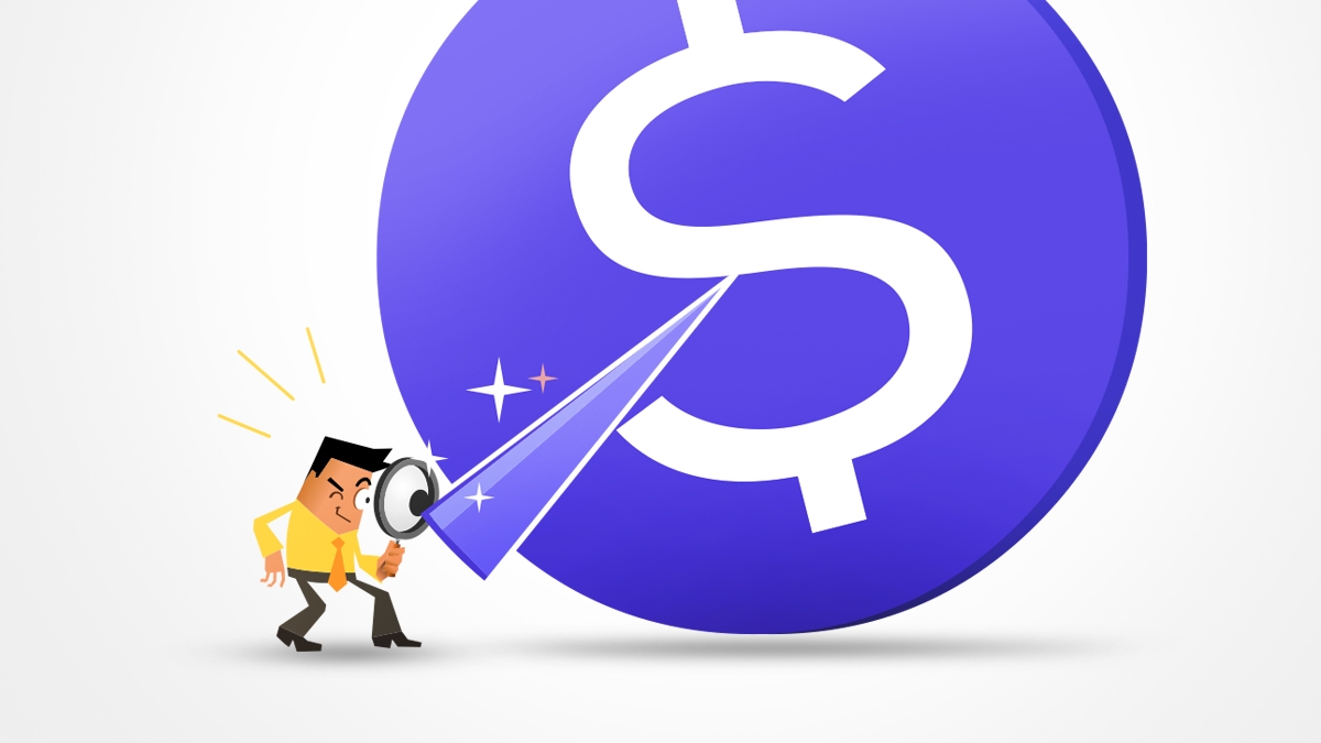 Niche site monetization