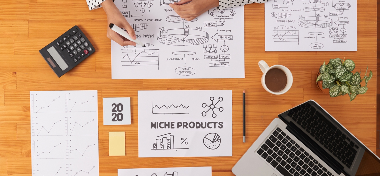 The Ultimate Guide to Niche Products in 2020 hero image