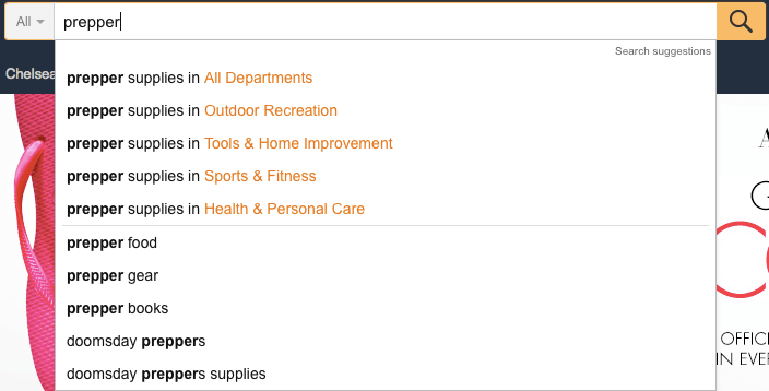 Even this simple search yielded still-uncovered keywords like prepper food, prepper gear, prepper books, and doomsday preppers.