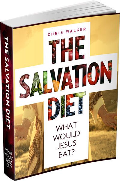 salvationdiet-ebook