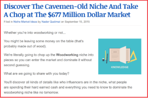 It might surprise you but the Woodworking niche is VERY profitable