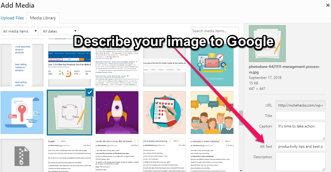 what is alternate text alt-text seo