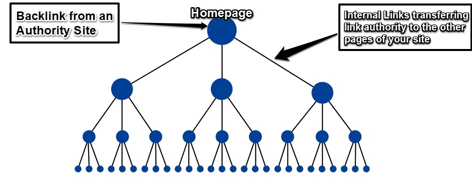 internal linking backlinks transfer authority