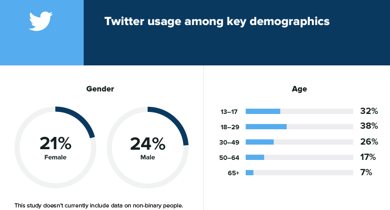 Twitter user demographics