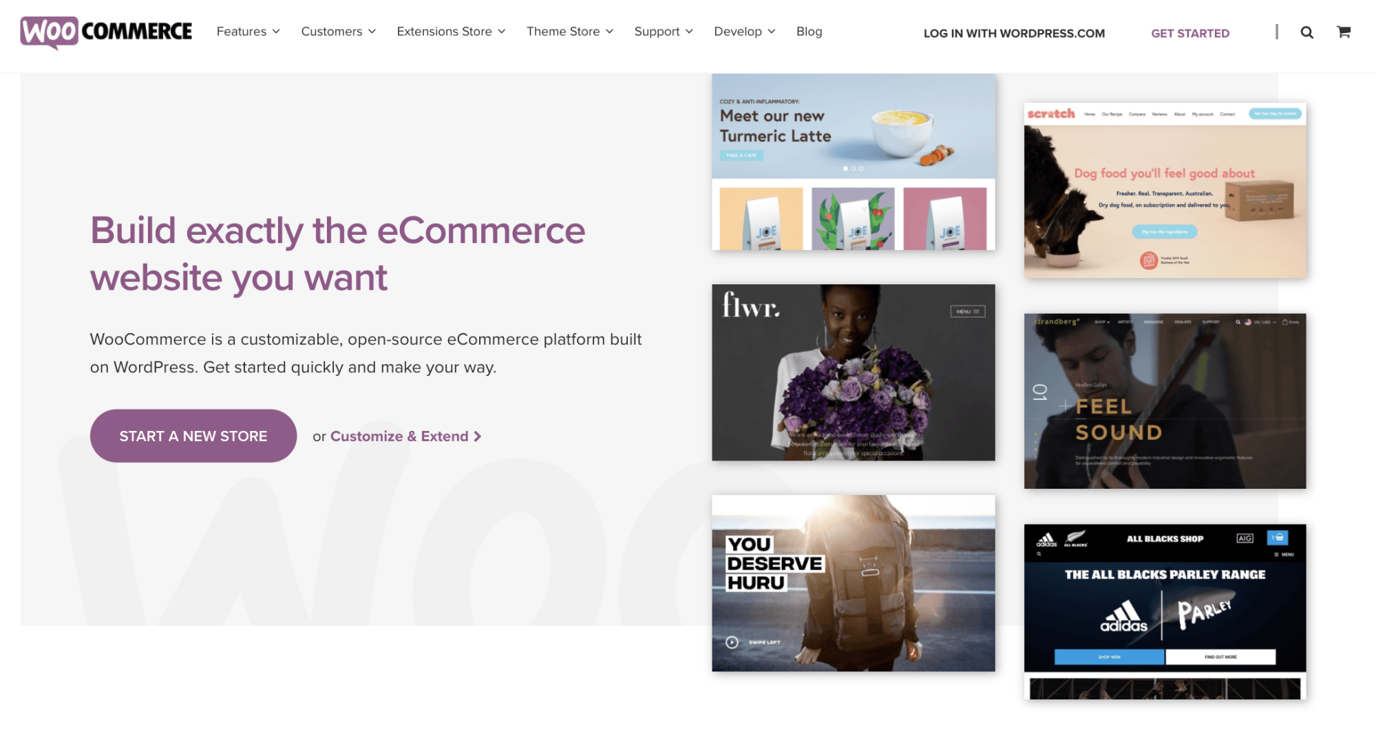 ecommerce tool woocommerce